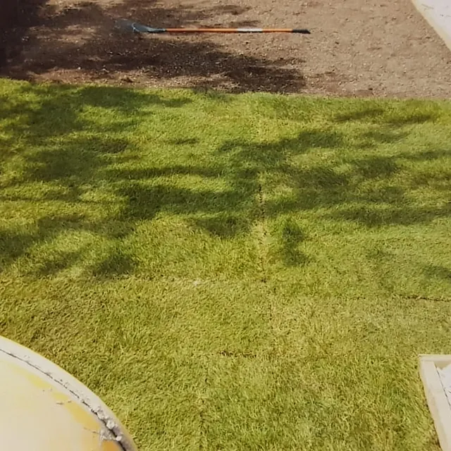 new turf being layed
